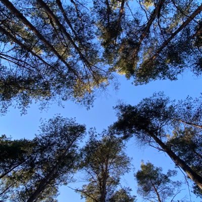 usebrain01's profile picture. 