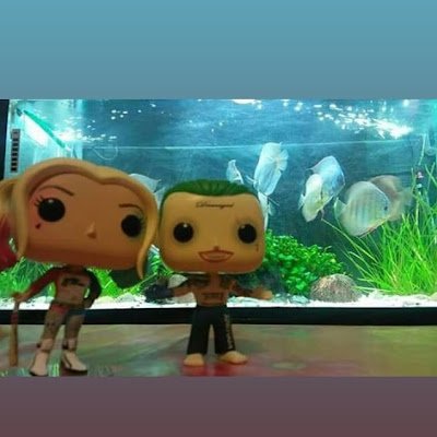 DjFunkopop's profile picture. Somos una pareja coleccionistas del mundo loco del funko pop