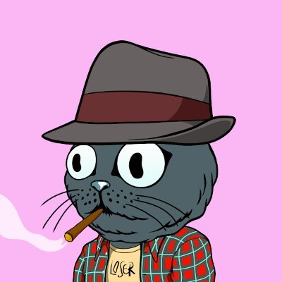 CamartJulian's profile picture. Développeur Symfony/React