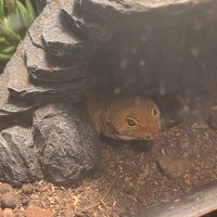 Tripp Horton (@tripp_horton) 's Twitter Profile