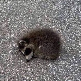 ursulatheidiot's profile picture. 페미니스트. 비디오&미디어 아티스트