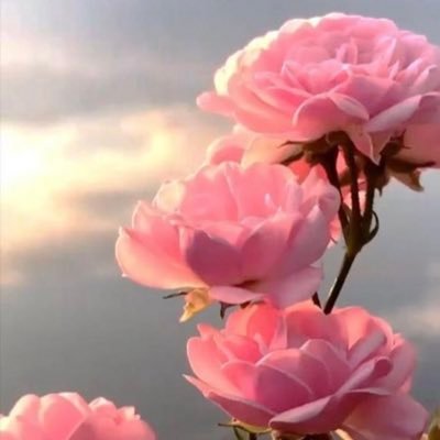 الحمدلله