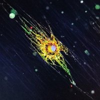 Laura BC (@laubayoncordero) 's Twitter Profile