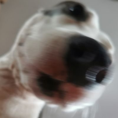 G'day. Pm if you have any questions.
