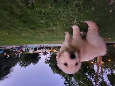 WildlyNan's profile picture. Smack..