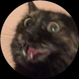 WO……W…. HELLO………… i am maisy i am female i am. 10 year old!! girl hi i wil post.. aLOT..