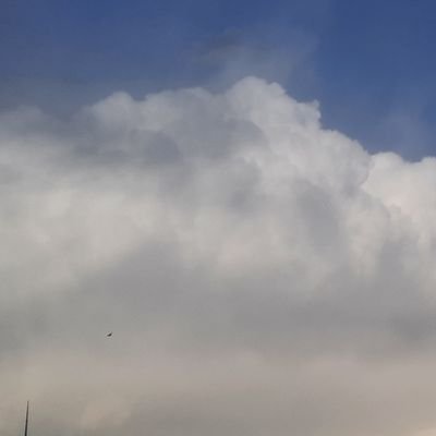 daricheha's profile picture. می ترسم از حرفی که باید گفت و پنهان می کنم