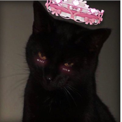 cyka_kittenさんのプロフィール画像