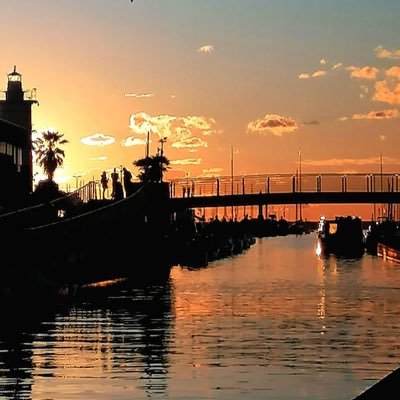 Rosy830047635's profile picture. Carpe Diem