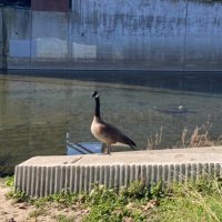 Zervas (@zervas) 's Twitter Profile