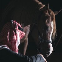 محمد (@mohmmad___1) Twitter profile photo