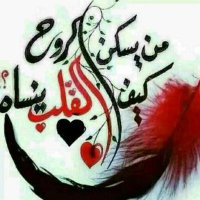 انا بكره الكذب اوالخداع(@AlnqybHafz) 's Twitter Profile Photo