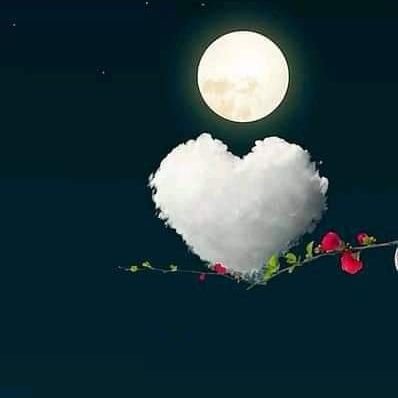 தேடுகின்றேன் நான் 💗💗💗 என்னை விரும்புவோர் பின்தொடரவும் 🌹 எனது இன்பாக்ஸ் வரவும்