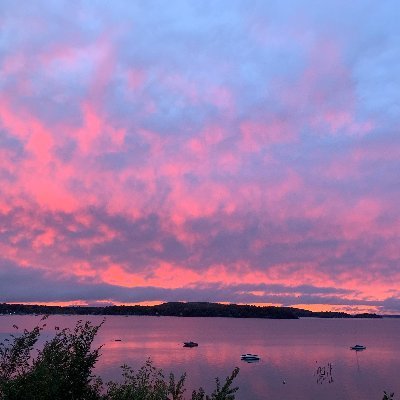 scarl2006's profile picture. Founder of "The Crossroads Project" (formerly Lilium), an attempt to preserve and recreate as many possible assets from ROBLOX from 2006-2007.