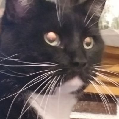 second account
got a few random tweets about rants,ideas,etc....