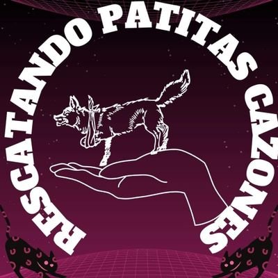 Mi nombre es Pamela Godoy Flores (Angelous 1712) Activista y protector de la zona Norte de Veracruz, busco sumar al Bienestar Animal.