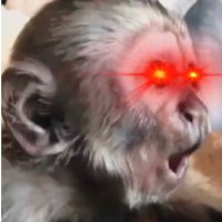 LIL UZI PEBS (@pe33le) 's Twitter Profile