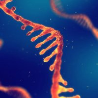 Martinez Lab (@ivanmartinezlab) 's Twitter Profile