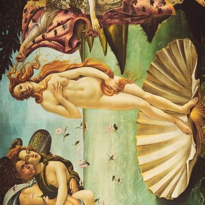 leosuntarot's profile picture. 