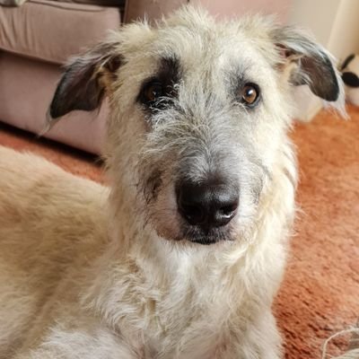 LIVE LIFE & LOVE©, was homeless & now hoping for success
https://t.co/X2mReG2l5j
https://t.co/v7Z79yvlxk