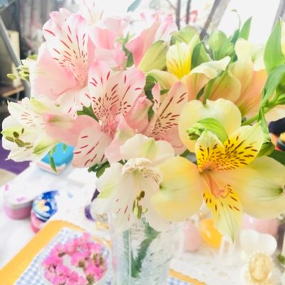 yTcqTUzpwNTdQpW's profile picture. 