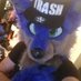 KaiWolf135 (@kaiwolf135) Twitter profile photo KaiWolf135 (@kaiwolf135) Twitter profile photo