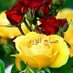 فحل يمني شمال جده فقط (@kjwtwc8nx3dyum4) Twitter profile photo فحل يمني شمال جده فقط (@kjwtwc8nx3dyum4) Twitter profile photo