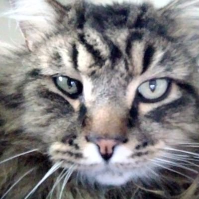 Jilly46835620's profile picture. 