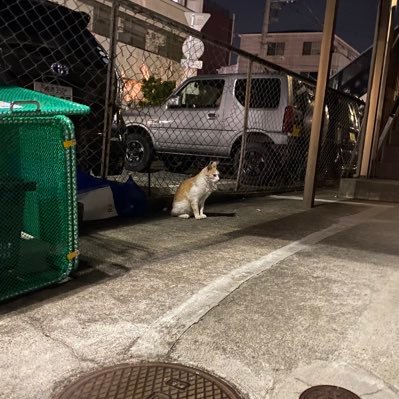 おかず垢
