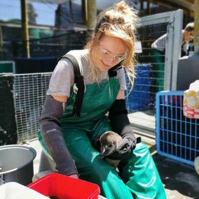 Wildlife Biologist🦈🐬🐸🦞🌱🐟  Assistant lecturer@ MTU Kerry campus @BPSMTU Project lead on Angel Shark Project: Ireland @irishelasmos (she/her)