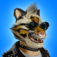 Panthers (@pantherizeds) 's Twitter Profile