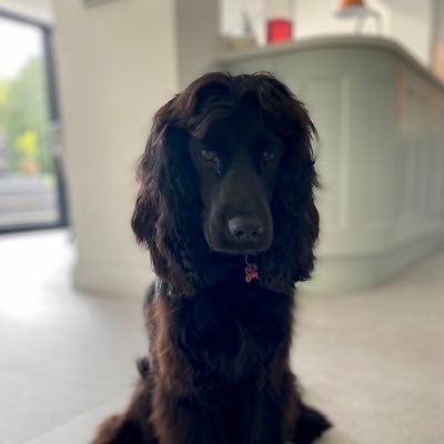 camorgan28's profile picture.