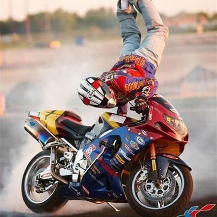 Dbike433's profile picture. 