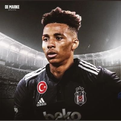 HyperFlow1903's profile picture. 