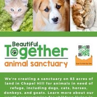 Beautiful Together (@btogetherdotorg) 's Twitter Profile