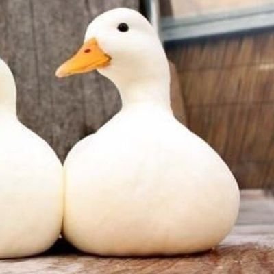 27さんのプロフィール画像