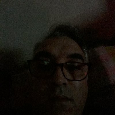 mehrdad491's profile picture. 