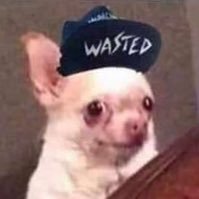 midwestchipster's profile picture. chicano | all my views are my own and cool as fucc | he/him