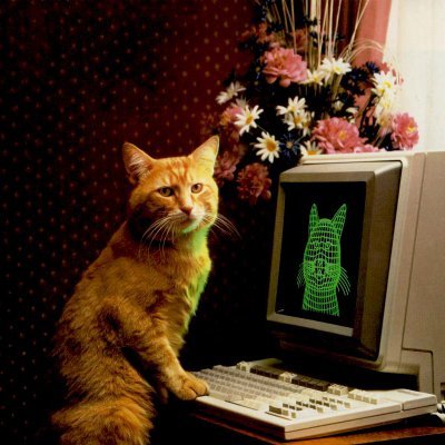 artificialite's profile picture. This is my first rodeo.