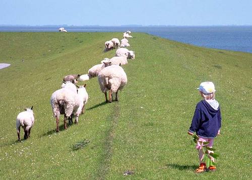 frmdavidwthlove's profile picture. 