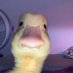 Christopher Adams (@christo96227462) Twitter profile photo Christopher Adams (@christo96227462) Twitter profile photo
