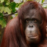 WhyCookieRocket's profile picture. Why Cookie Rocket