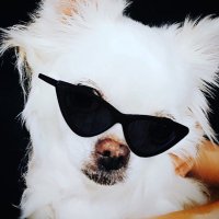 urosu (@678_ner) Twitter profile photo