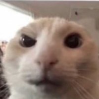 Eeeee (@eeeee48458048) 's Twitter Profile