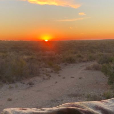 cpatsherm's profile picture. just a man