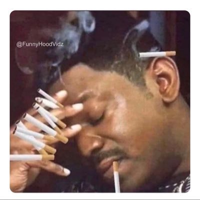 kauri2x's profile picture. x