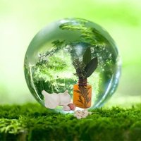 Nguyen Ngoc (@nguyenngocpro79) 's Twitter Profile