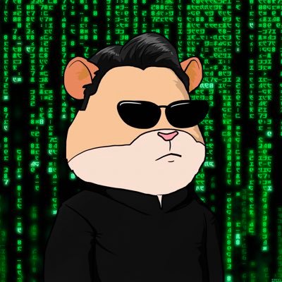 metahamsters Profile Picture