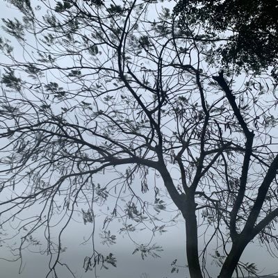 1107026942's profile picture. 