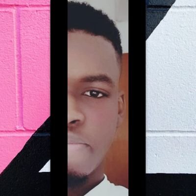 EanorRj's profile picture. A phantom who is a pelican